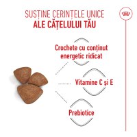 ROYAL CANIN Mini Starter Mother & Babydog, mama și puiul, hrană uscată câini, 8kg - 5