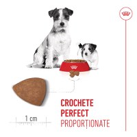 ROYAL CANIN Mini Starter Mother & Babydog, mama și puiul, hrană uscată câini, 8kg - 6