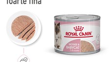 ROYAL CANIN Mother & BabyCat, hrană umedă pisici, mama și puiul, (mousse), 195g