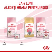 ROYAL CANIN Mother & BabyCat, hrană umedă pisici, mama și puiul, (mousse), 195g - 10