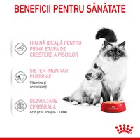 ROYAL CANIN Mother & BabyCat, hrană umedă pisici, mama și puiul, (mousse), 195g - 4