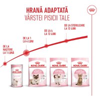 ROYAL CANIN Mother & BabyCat, hrană uscată pisici, mama și puiul, 10kg - 11