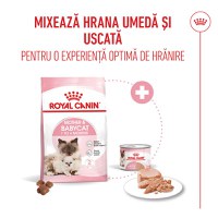 ROYAL CANIN Mother & BabyCat, hrană uscată pisici, mama și puiul, 2kg - 10