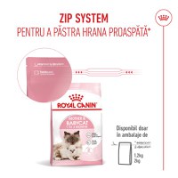 ROYAL CANIN Mother & BabyCat, hrană uscată pisici, mama și puiul, 2kg - 12