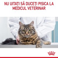 Royal Canin Oral Care Adult, hrană uscată pisici, reducerea formării tartrului ROYAL CANIN Feline Care Nutrition Dental Care, hrană uscată pisici, reducerea formării tartrului, 400g - 11