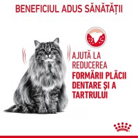 Royal Canin Oral Care Adult, hrană uscată pisici, reducerea formării tartrului ROYAL CANIN Feline Care Nutrition Dental Care, hrană uscată pisici, reducerea formării tartrului, 400g - 5