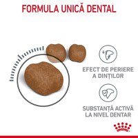 Royal Canin Oral Care Adult, hrană uscată pisici, reducerea formării tartrului ROYAL CANIN Feline Care Nutrition Dental Care, hrană uscată pisici, reducerea formării tartrului, 400g - 9