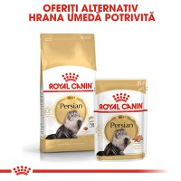 ROYAL CANIN Persian Adult, hrană uscată pisici, 10kg - 9