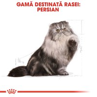 ROYAL CANIN Persian Adult, hrană uscată pisici, 2kg - 4