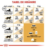 ROYAL CANIN Persian Adult, hrană uscată pisici, 2kg - 8