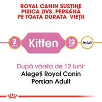 ROYAL CANIN Persian Kitten, hrană uscată pisici junior, 2kg - 8