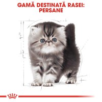 ROYAL CANIN Persian Kitten, hrană uscată pisici junior, 2kg - 4