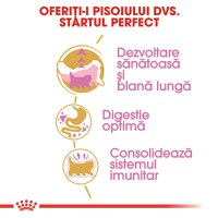 ROYAL CANIN Persian Kitten, hrană uscată pisici junior, 2kg - 5