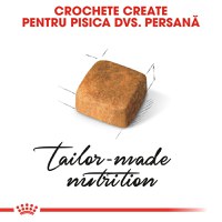 ROYAL CANIN Persian Kitten, hrană uscată pisici junior, 2kg - 6