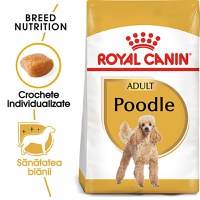 ROYAL CANIN Poodle Adult, hrană uscată câini, 1.5kg - 2