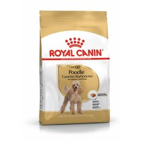 ROYAL CANIN Poodle Adult, hrană uscată câini, 1.5kg - 3