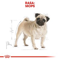 ROYAL CANIN Pug Adult, hrană uscată câini, 1.5kg - 4