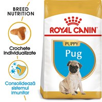 ROYAL CANIN Pug Puppy, hrană uscată câini junior, 1.5kg - 2