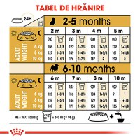 ROYAL CANIN Pug Puppy, hrană uscată câini junior, 1.5kg - 8