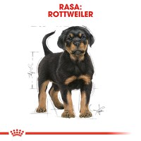 ROYAL CANIN Rottweiller Puppy, hrană uscată câini junior, 12kg - 4