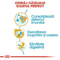 ROYAL CANIN Rottweiller Puppy, hrană uscată câini junior, 12kg - 5