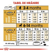 ROYAL CANIN Rottweiller Puppy, hrană uscată câini junior, 12kg - 8