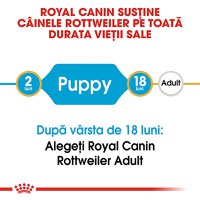 ROYAL CANIN Rottweiller Puppy, hrană uscată câini junior, 12kg - 9