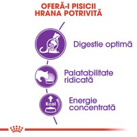 ROYAL CANIN Sensible Adult, hrană uscată pisici, digestie optimă, 2kg - 4