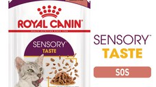 ROYAL CANIN Sensory Taste hrană umedă pisici stimularea gustului (în sos), 85g