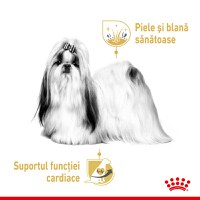 ROYAL CANIN Shih Tzu Adult hrană umedă câini (pate), bax, 85g x 12buc - 4