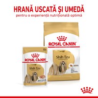 ROYAL CANIN Shih Tzu Adult hrană umedă câini (pate), bax, 85g x 12buc - 8