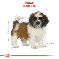 ROYAL CANIN Shih Tzu Puppy, hrană uscată câini junior, 1.5kg - 4