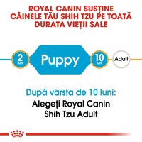ROYAL CANIN Shih Tzu Puppy, hrană uscată câini junior, 1.5kg - 9
