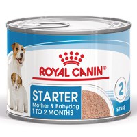 ROYAL CANIN Starter Mousse, mama și puiul, conservă hrană umedă câini, (mousse), 195g - 1