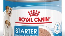 ROYAL CANIN Starter Mousse, mama și puiul, conservă hrană umedă câini, (mousse), 195g