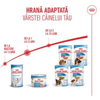 ROYAL CANIN Starter Mousse, mama și puiul, conservă hrană umedă câini, (mousse), 195g - 9