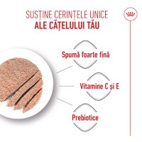 ROYAL CANIN Starter Mousse, mama și puiul, conservă hrană umedă câini, (mousse), 195g - 5