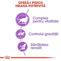 ROYAL CANIN Sterilised 7+, hrană uscată pisici sterilizate, 1.5kg - 4