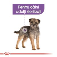 ROYAL CANIN Sterilised Adult, hrană umedă câini sterilizați, (pate), 85g - 4