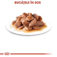 ROYAL CANIN Sterilised Adult, hrană umedă pisici sterilizate, (în sos), 85g - 5