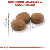 ROYAL CANIN Sterilised Adult, hrană uscată pisici sterilizate, 2kg - 5
