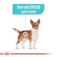 Royal Canin Urinary Care Adult, hrană umedă câini, sănătatea tractului urinar Royal Canin Urinary Care Adult, bax hrană umedă câini, sănătatea tractului urinar, (pate) 85g x 12 - 2