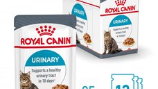 ROYAL CANIN Urinary Care Adult, hrană umedă pisici, sănătatea tractului urinar, (în sos), bax, 85g x 12buc