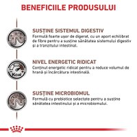 ROYAL CANIN VD Gastrointestinal, dietă veterinară, hrană uscată pisici, sistem digestiv, 4kg - 4