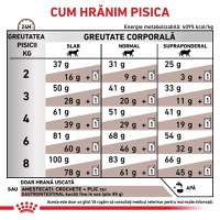 ROYAL CANIN VD Gastrointestinal, dietă veterinară, hrană uscată pisici, sistem digestiv, 4kg - 6