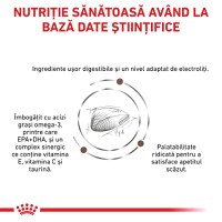 ROYAL CANIN VD Gastrointestinal, dietă veterinară, hrană uscată pisici, sistem digestiv, 4kg - 7