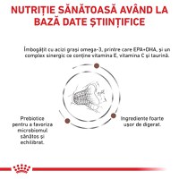 ROYAL CANIN VD Gastrointestinal Fibre Response, dietă veterinară, hrană uscată pisici, sistem digestiv, 4kg - 7