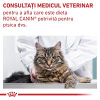 ROYAL CANIN VD Gastrointestinal Fibre Response, dietă veterinară, hrană uscată pisici, sistem digestiv, 4kg - 8