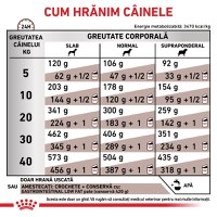 ROYAL CANIN VD Gastrointestinal Low Fat, XS-XL, dietă veterinară, hrană uscată câini, sistem digestiv, 12kg - 6