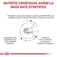ROYAL CANIN VD Gastrointestinal Low Fat, XS-XL, dietă veterinară, hrană uscată câini, sistem digestiv, 12kg - 7
